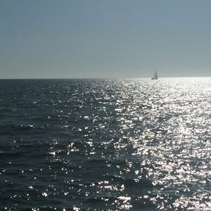 Meet your Posher, Cody